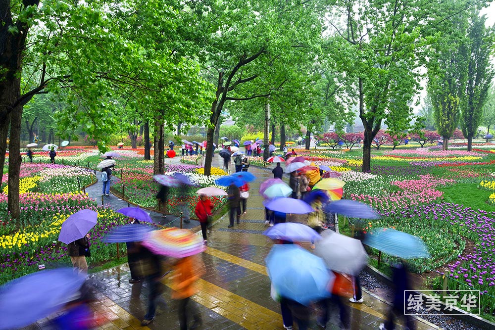 李志明-《花开时节》（北京植物园）-13051838463.jpg