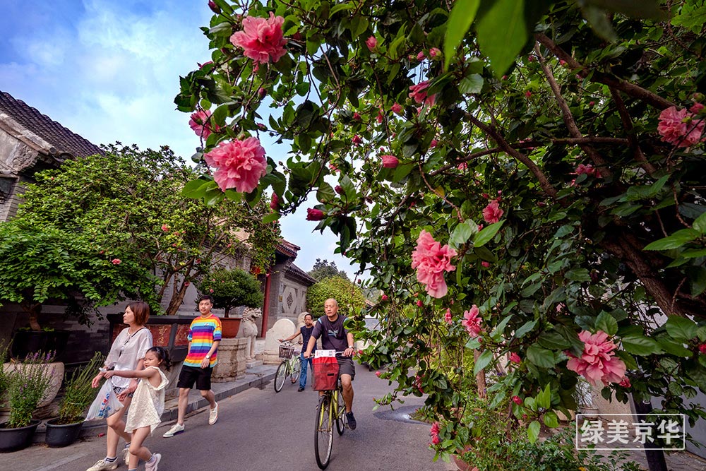 李治国----《鲜花盛开的礼士胡同》----联系电话：13241955899.jpg