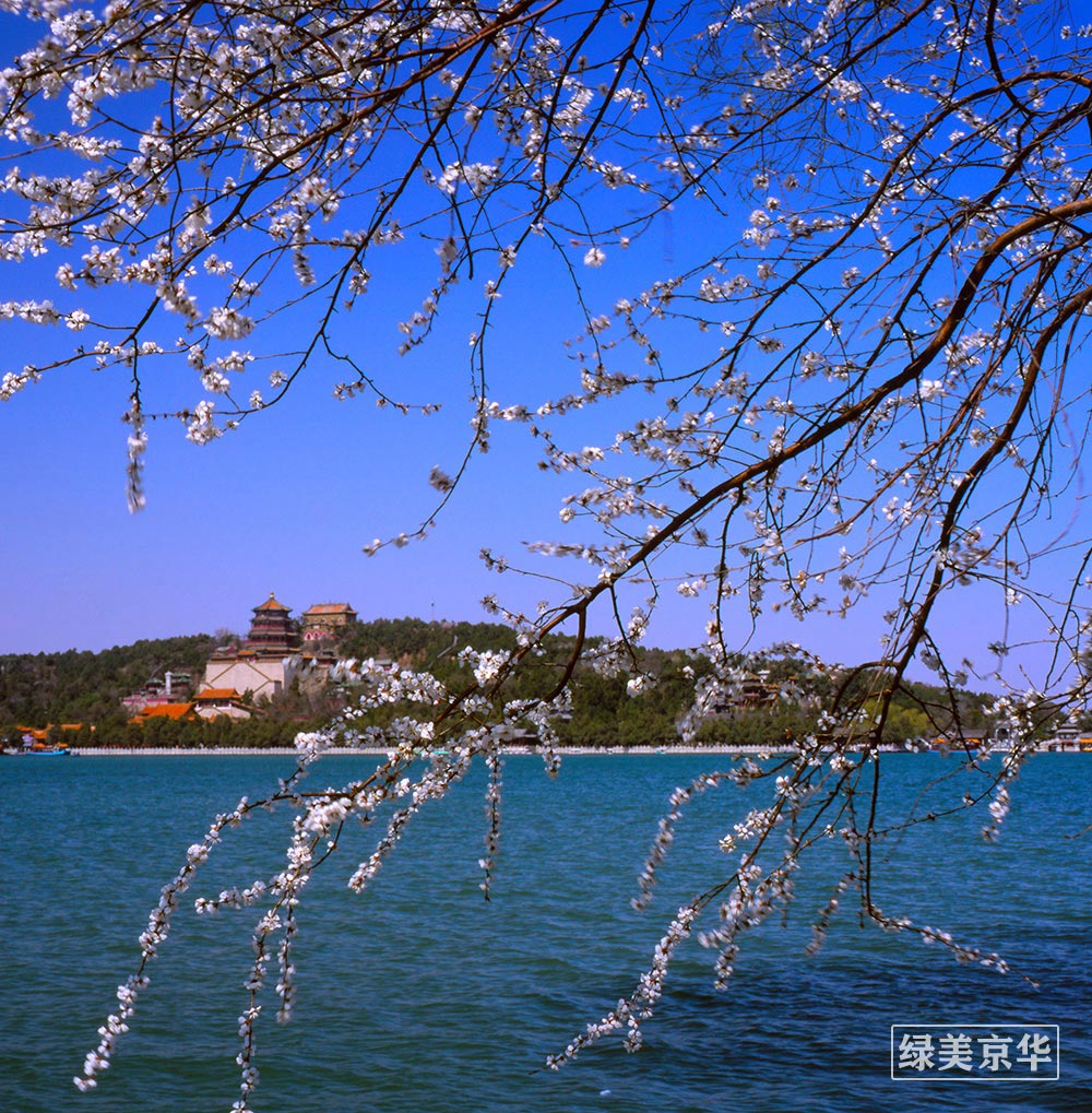 赵匀暄摄影（13810426026）《颐和园之春》.jpg